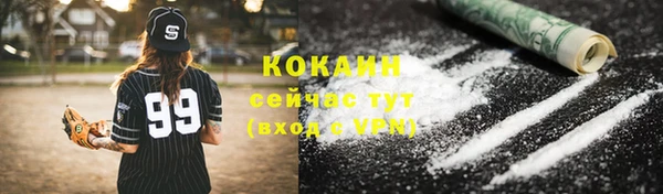 ешки Няндома