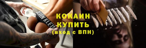 ешки Няндома